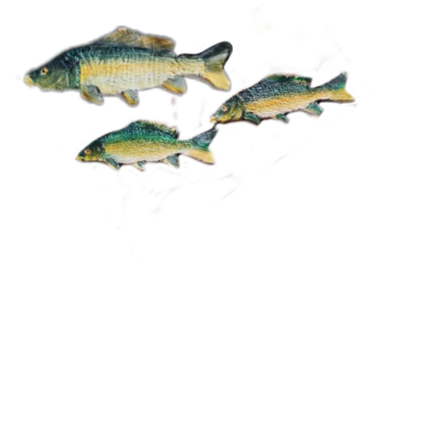 Ponty mágnes