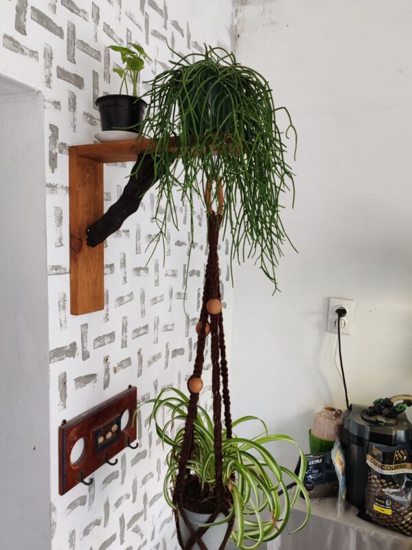 Fali dekortartó - Image 7